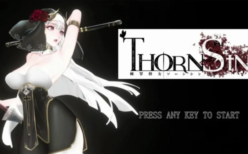 图片[16]-PC电脑（究极ACT/中文/全动态）棘罪修女V0.7.5-小强游戏