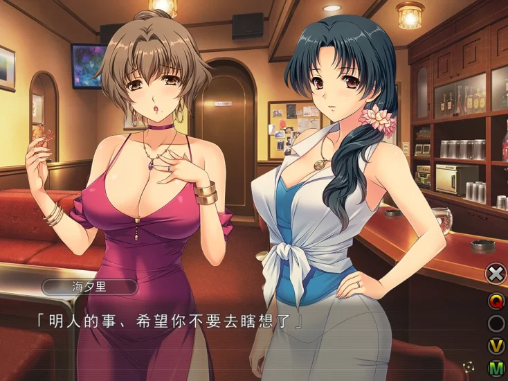 图片[1]-PC电脑 妻中蜜（3部合集+动画）-小强游戏