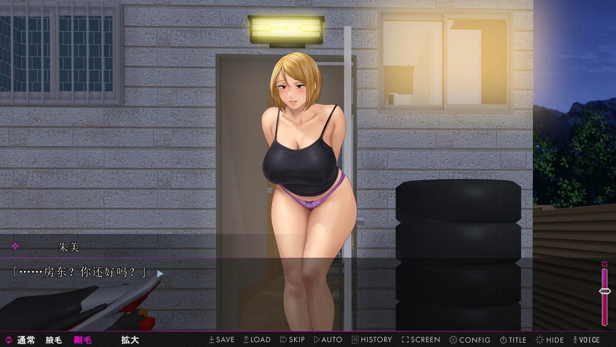 图片[3]-安卓+电脑【ADV+CV】喧闹的公寓和午后的人妻 Tr模拟器玩-小强游戏