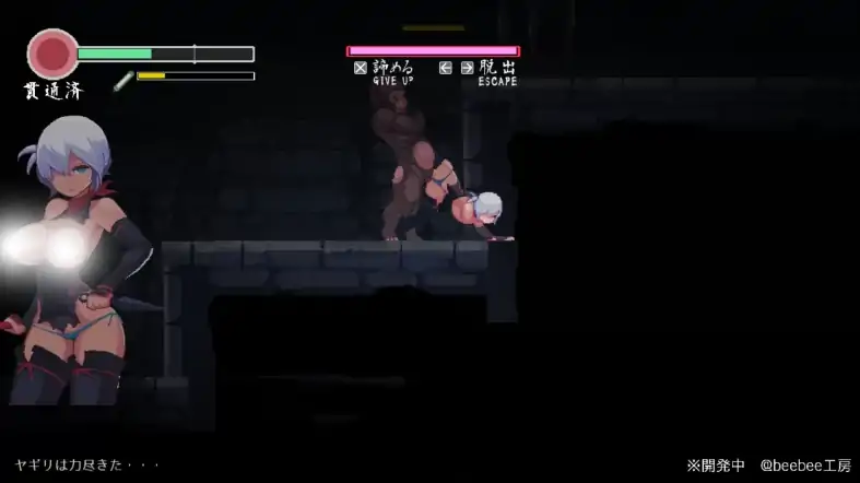 图片[2]-PC电脑版【生肉ACT/动态/像素/战斗H】忍者的冒险/復讐の夜霧Ver0.31-小强游戏