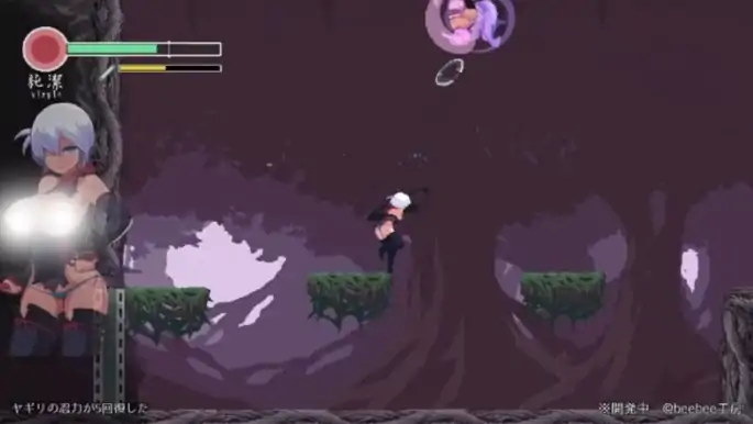 图片[4]-PC电脑版【生肉ACT/动态/像素/战斗H】忍者的冒险/復讐の夜霧Ver0.31-小强游戏